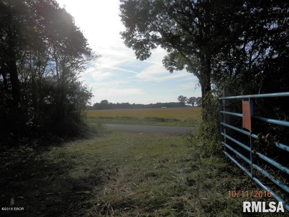 10700 Rock Creek Road Pittsburg, IL 62974 - Photo 4 of 21 Gallery Image 4