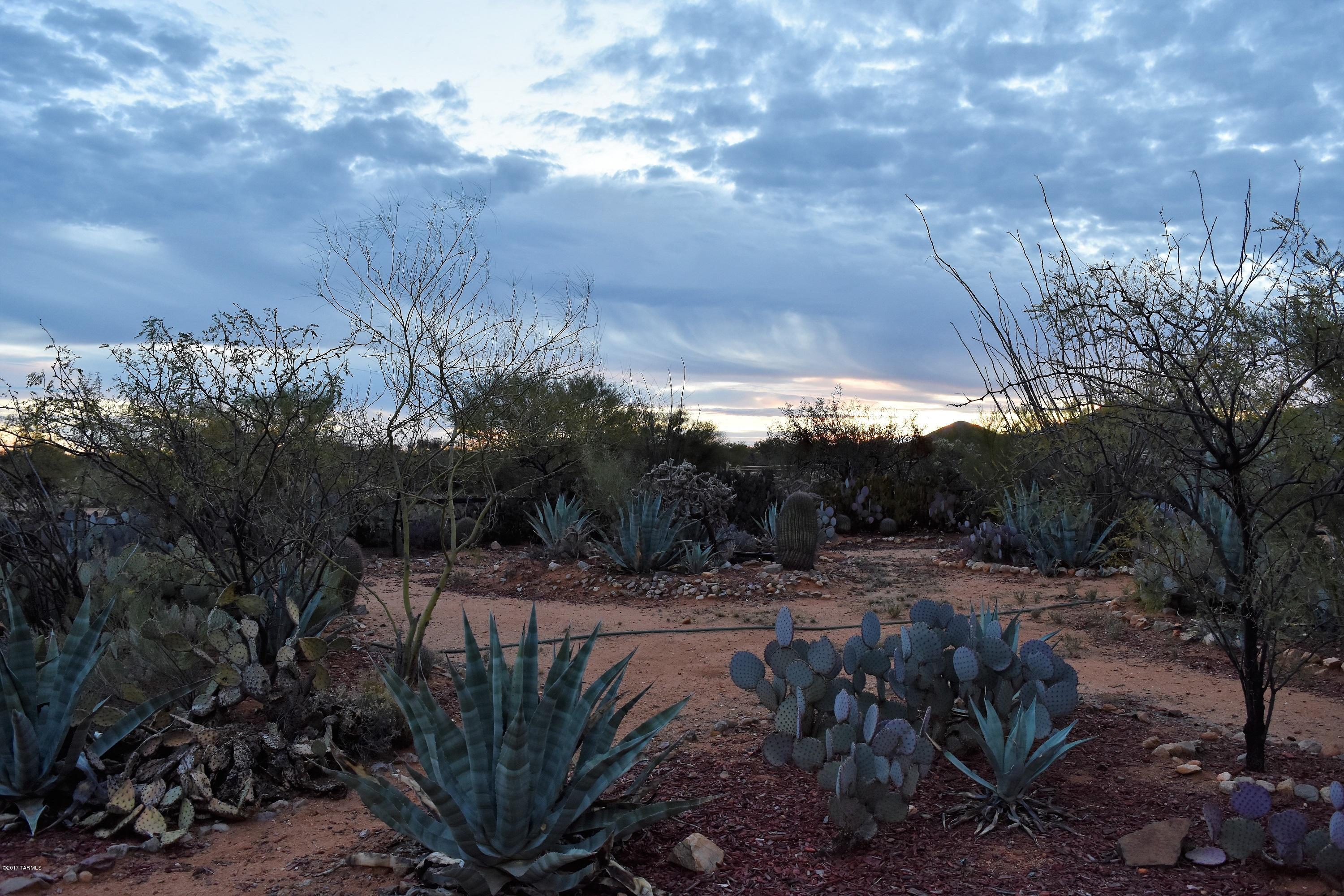 15885 West Lynnette Road Tucson, AZ 85736 - Photo 19 of 23 Gallery Image 19