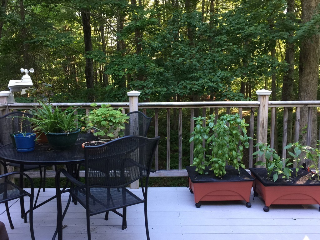 72 Mountain Road Erving, MA 01344 - Photo 19 of 27 Gallery Image 19