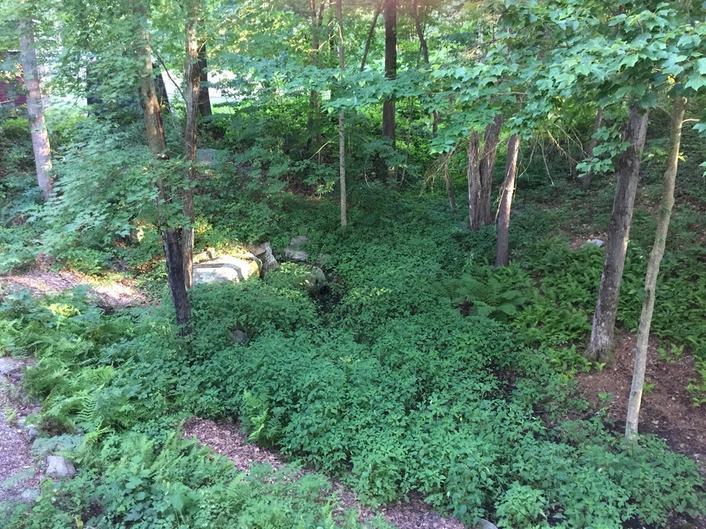 72 Mountain Road Erving, MA 01344 - Photo 24 of 27 Gallery Image 24