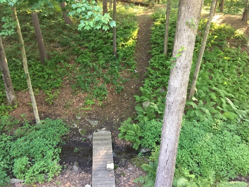 72 Mountain Road Erving, MA 01344 - Photo 25 of 27 Gallery Image 25
