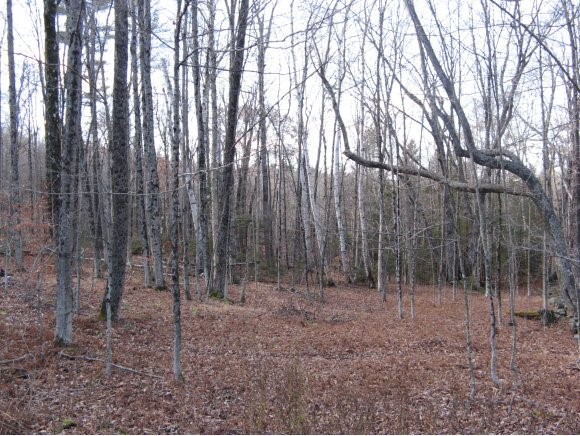 Lucier Road Brattleboro, VT 05301 - Photo 1 of 1