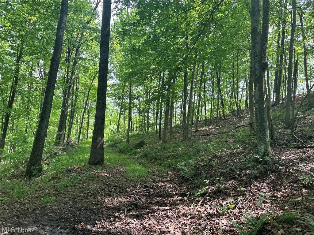 2538 Howell Run Road West Union, WV 26456 - Photo 20 of 21