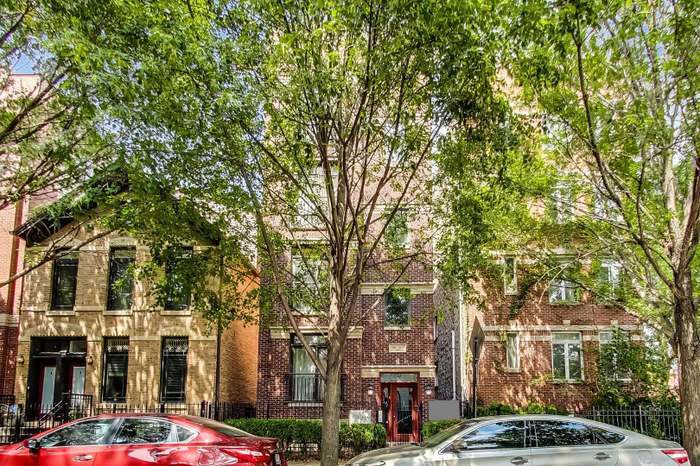1302 West Fillmore Street, Unit 2 Chicago, IL 60607 - Photo 3 of 26 Gallery Image 3