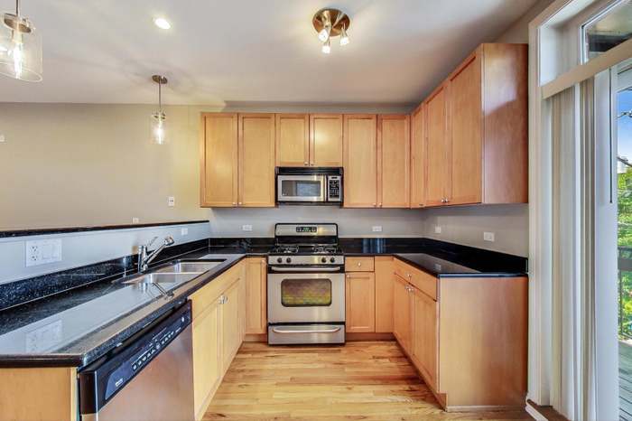 1302 West Fillmore Street, Unit 2 Chicago, IL 60607 - Photo 8 of 26 Gallery Image 8