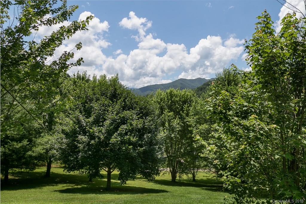150 Hound Holler Road Canton, NC 28716 - Photo 12 of 17