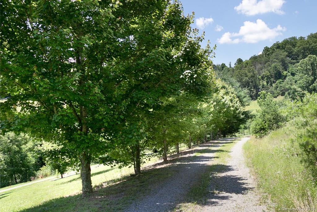 150 Hound Holler Road Canton, NC 28716 - Photo 15 of 17