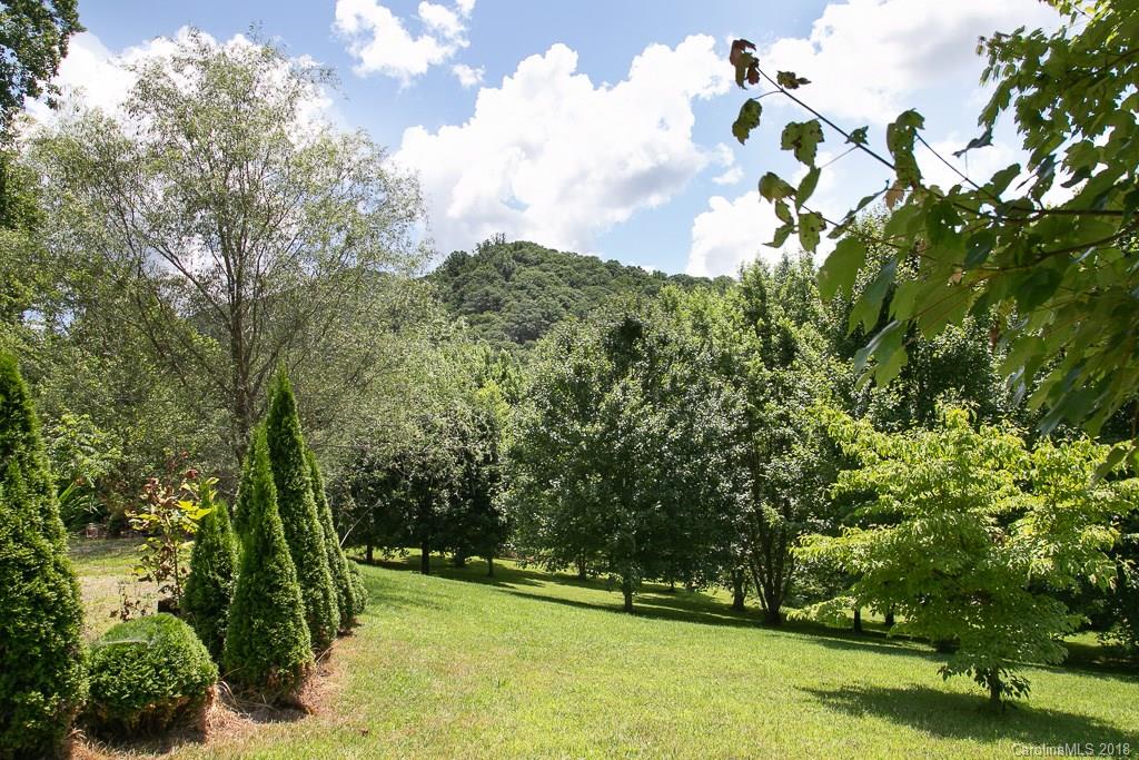 150 Hound Holler Road Canton, NC 28716 - Photo 16 of 17