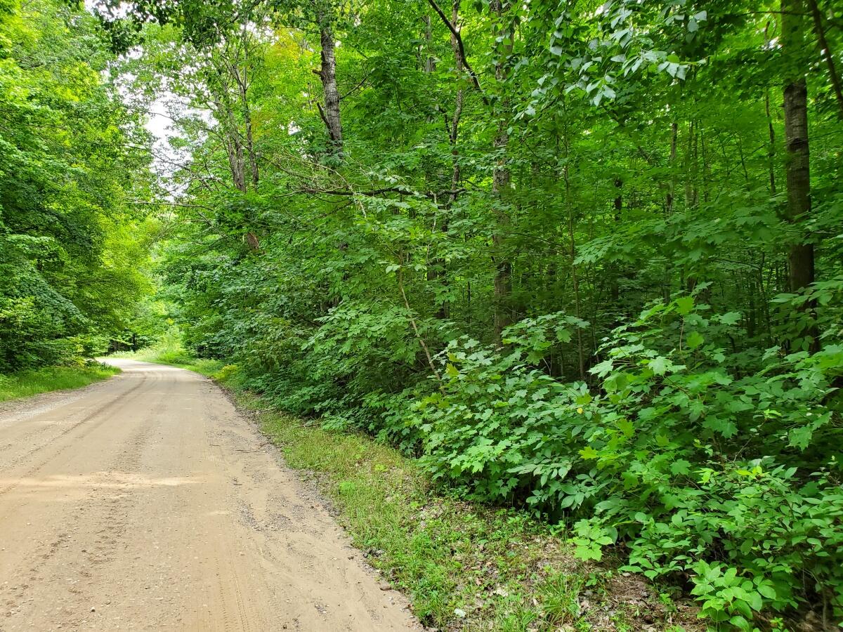 2 Clements Road Alanson, MI 49706 - Photo 3 of 15 20210824_135856