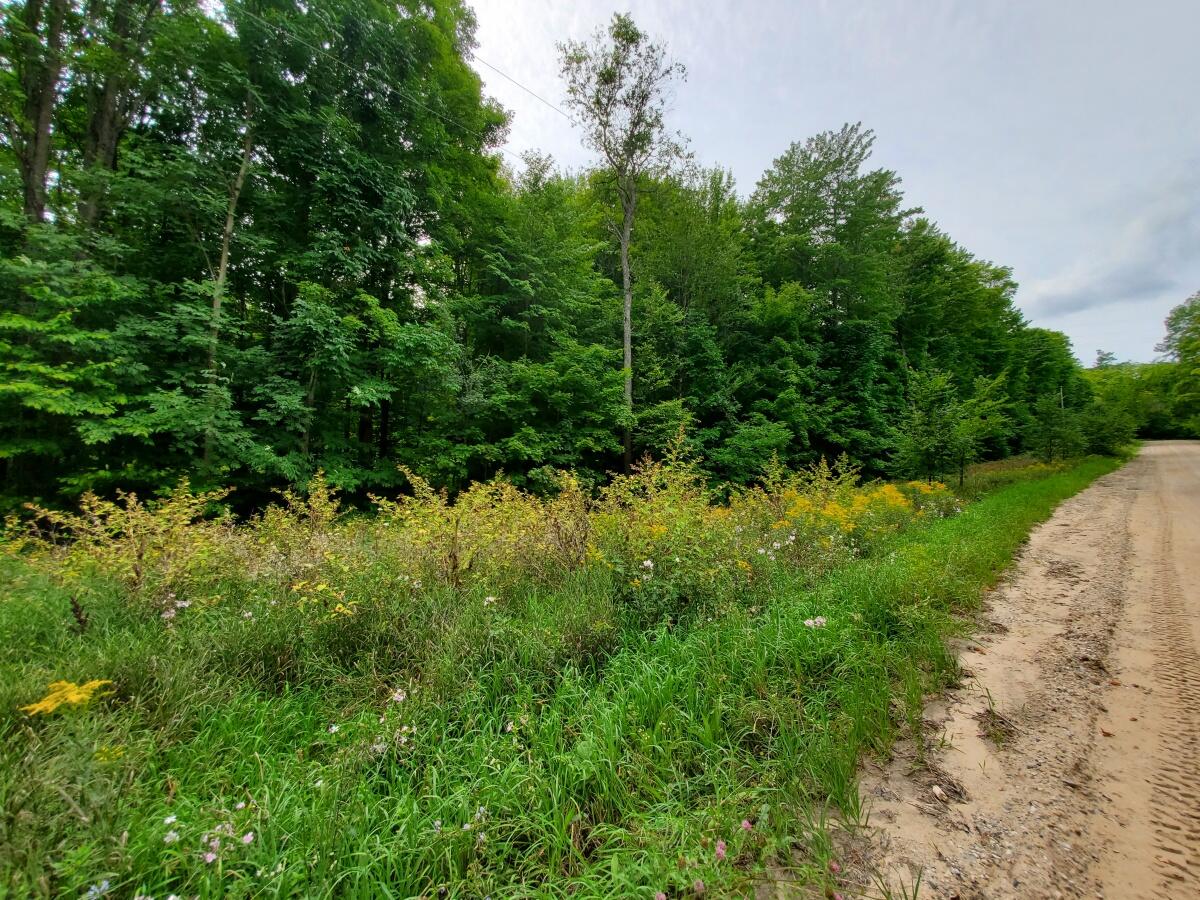 2 Clements Road Alanson, MI 49706 - Photo 5 of 15 20210824_140155