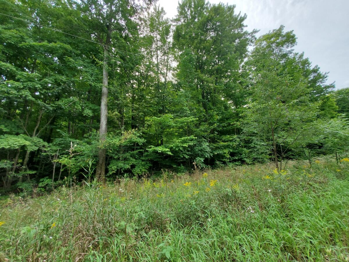 2 Clements Road Alanson, MI 49706 - Photo 6 of 15 20210824_140250