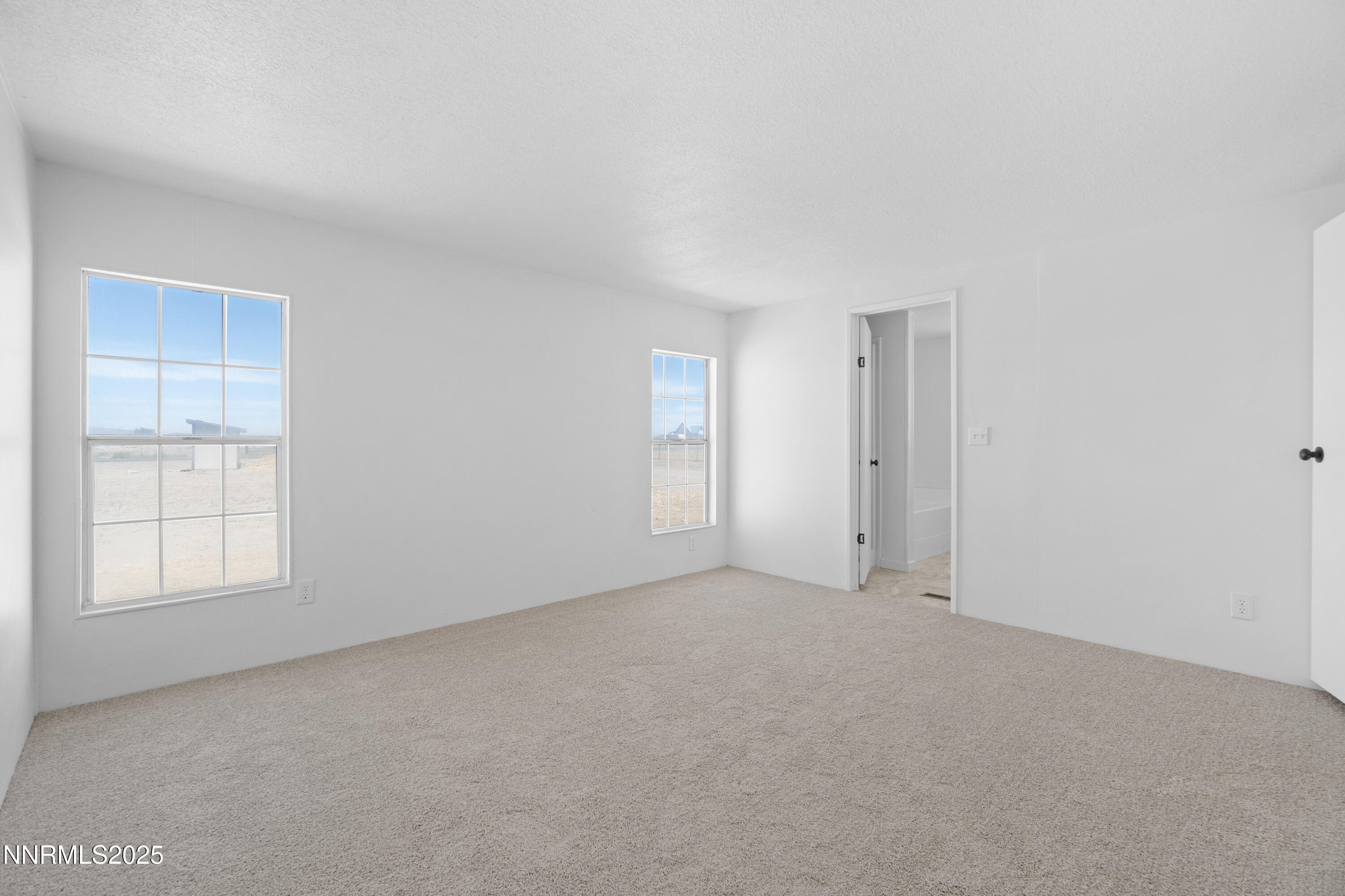 613 Pete Hendrichs Road Yerington, NV 89447 - Photo 17 of 28 DSC09049