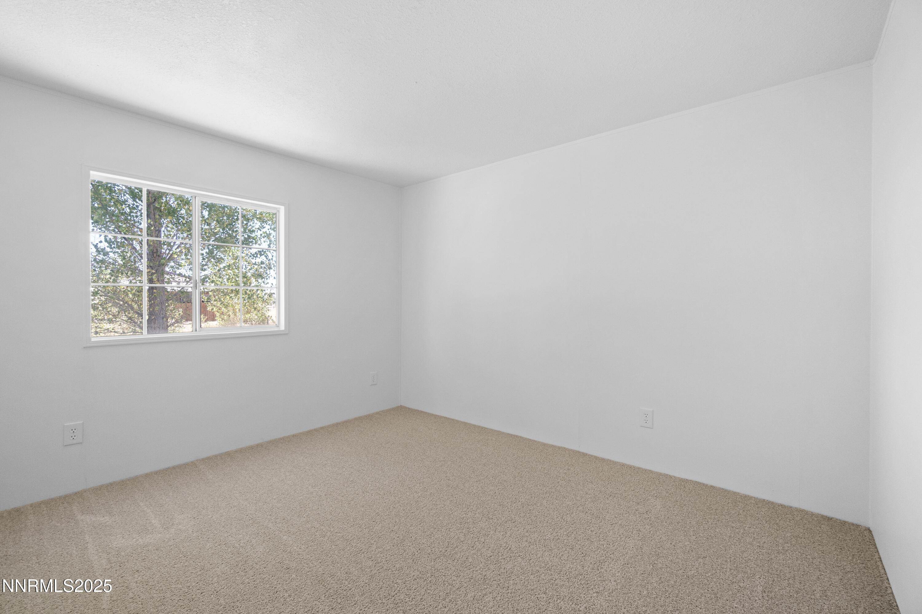 613 Pete Hendrichs Road Yerington, NV 89447 - Photo 21 of 28 DSC09099