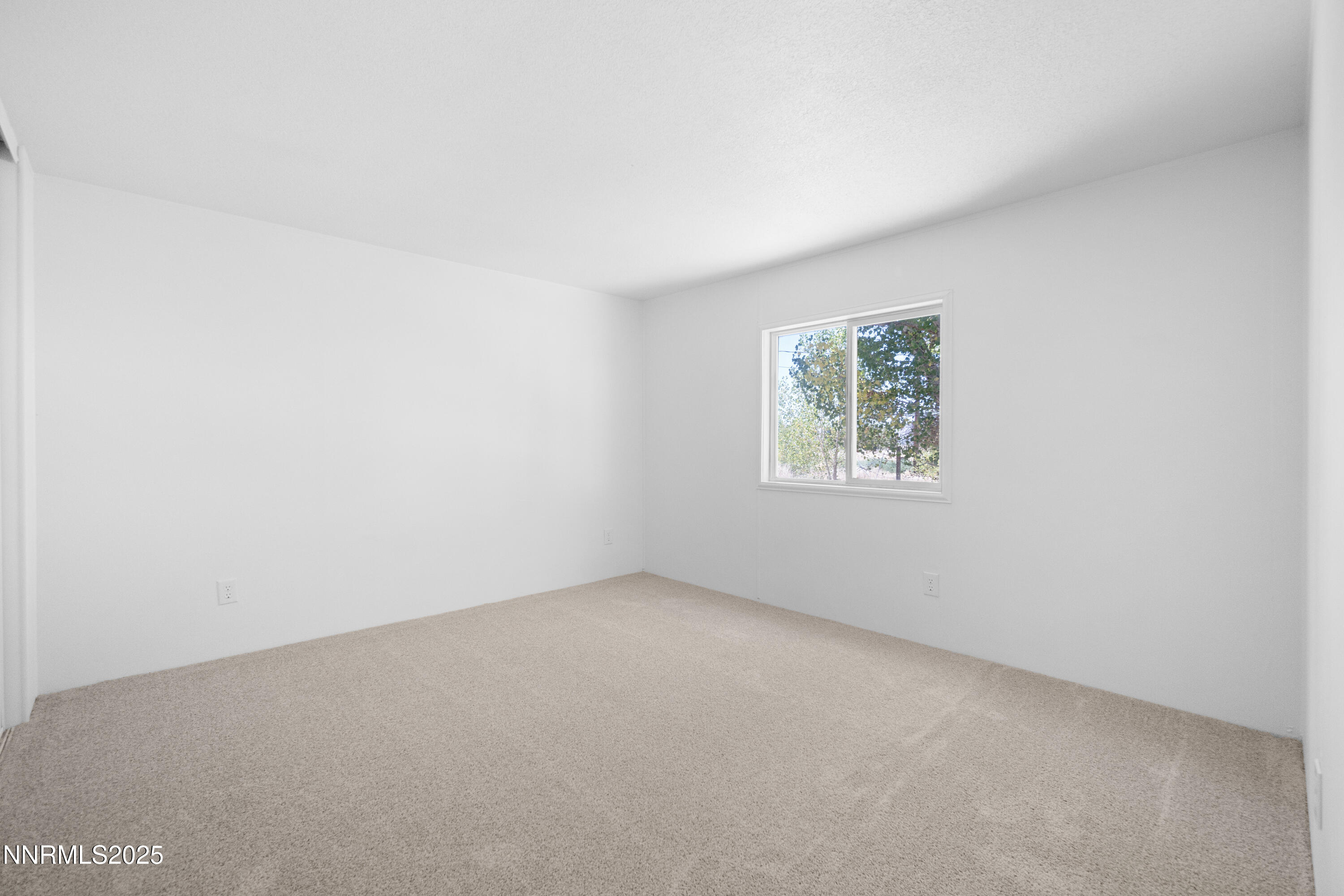 613 Pete Hendrichs Road Yerington, NV 89447 - Photo 24 of 28 DSC09129