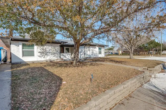 a view of road with large trees