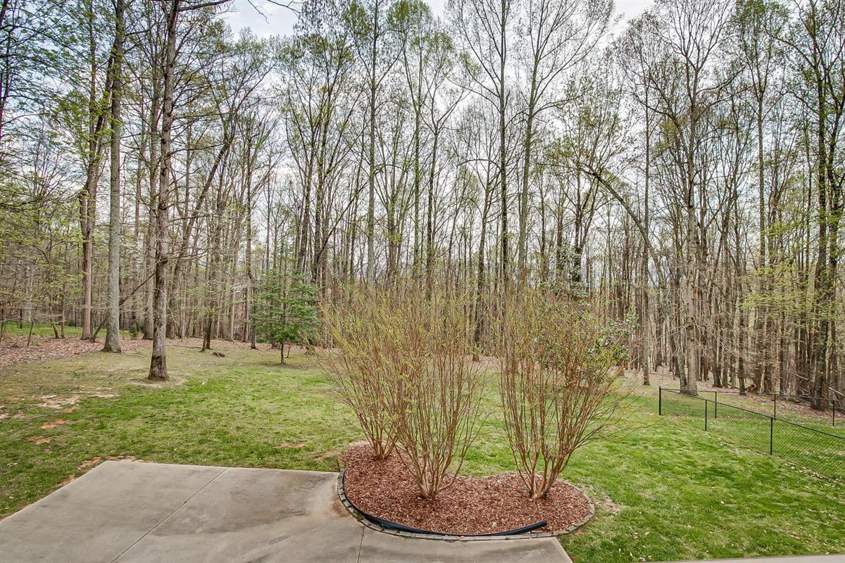 514 Whitetail Road Church Hill, TN 37642 - Photo 39 of 44 39-Whitetail-39