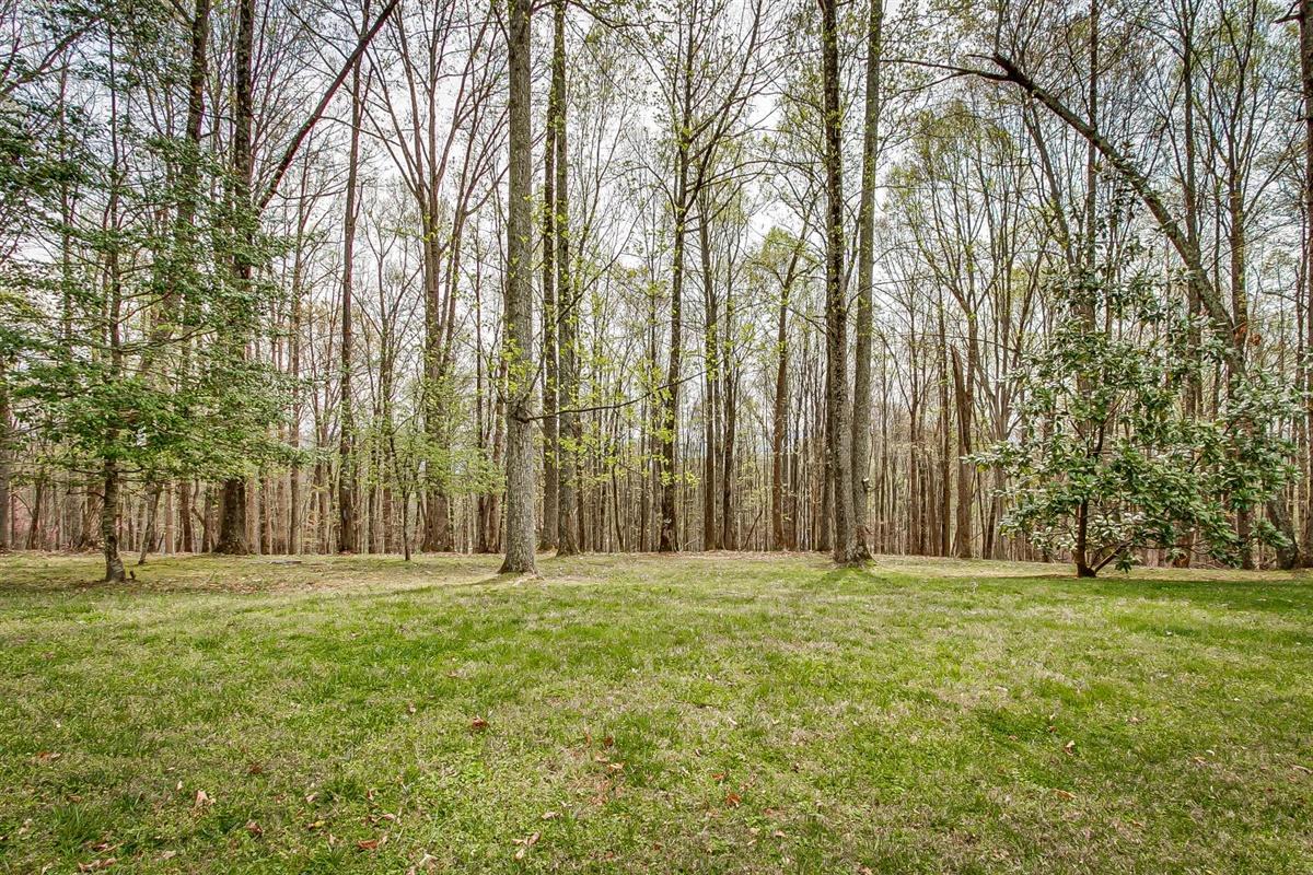 514 Whitetail Road Church Hill, TN 37642 - Photo 42 of 44 42-Whitetail-42