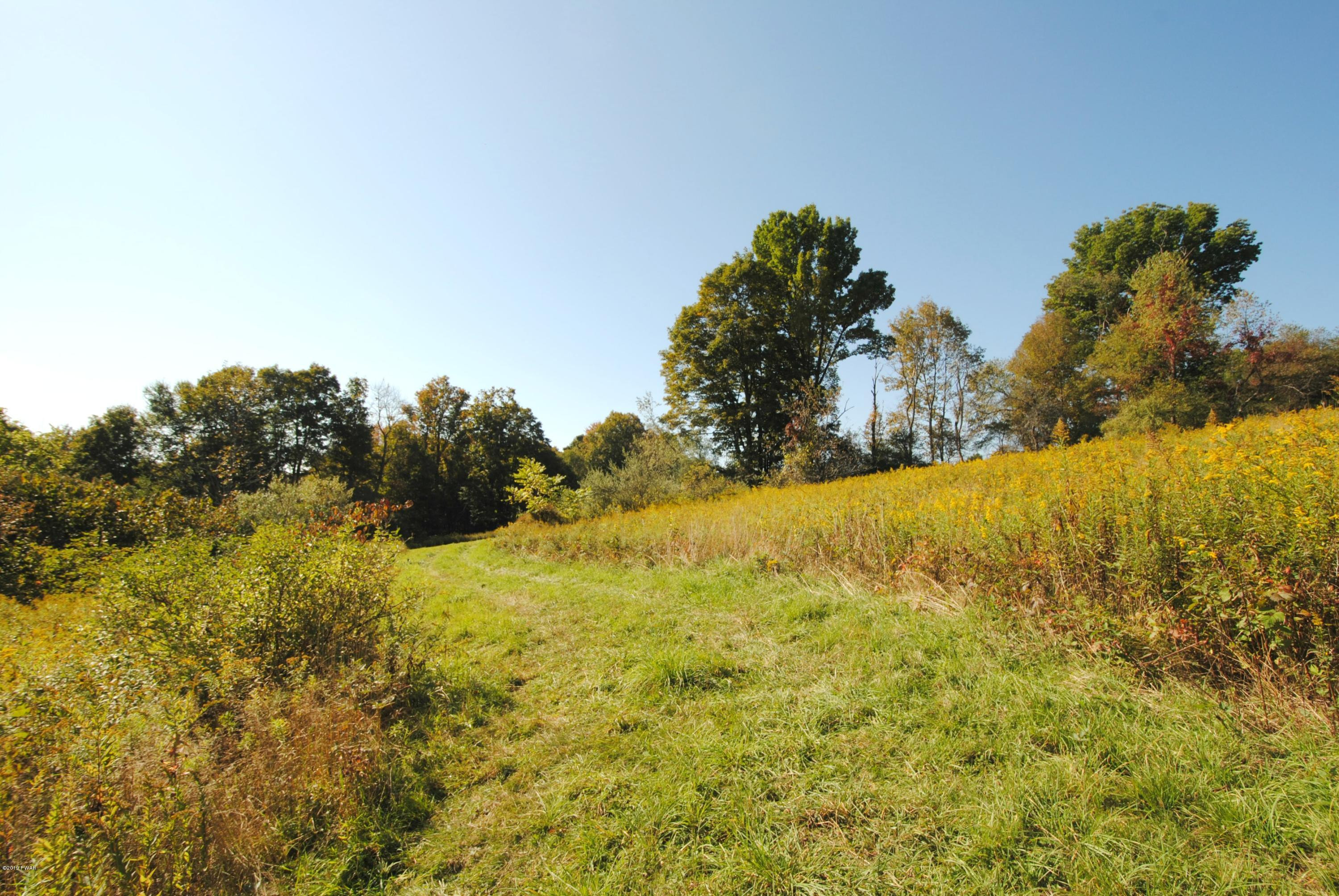 Niles Pond Road Honesdale, PA 18431 - Photo 2 of 10