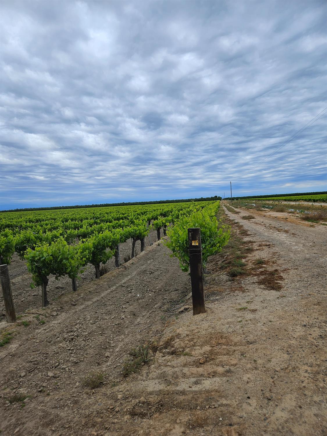 7517 Highway 145 Madera, CA 93637 - Photo 4 of 5 a view of a garden with an outdoor space