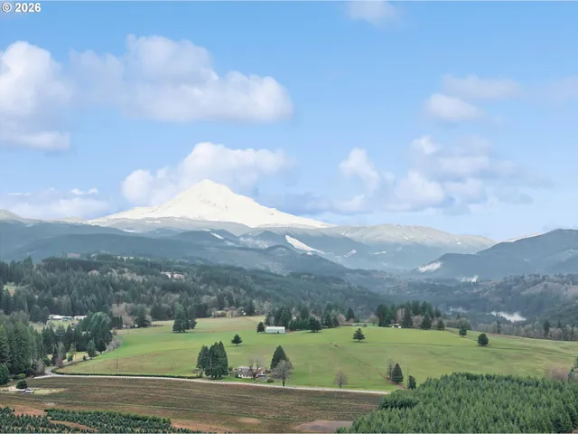 a view of a town with mountains in the background