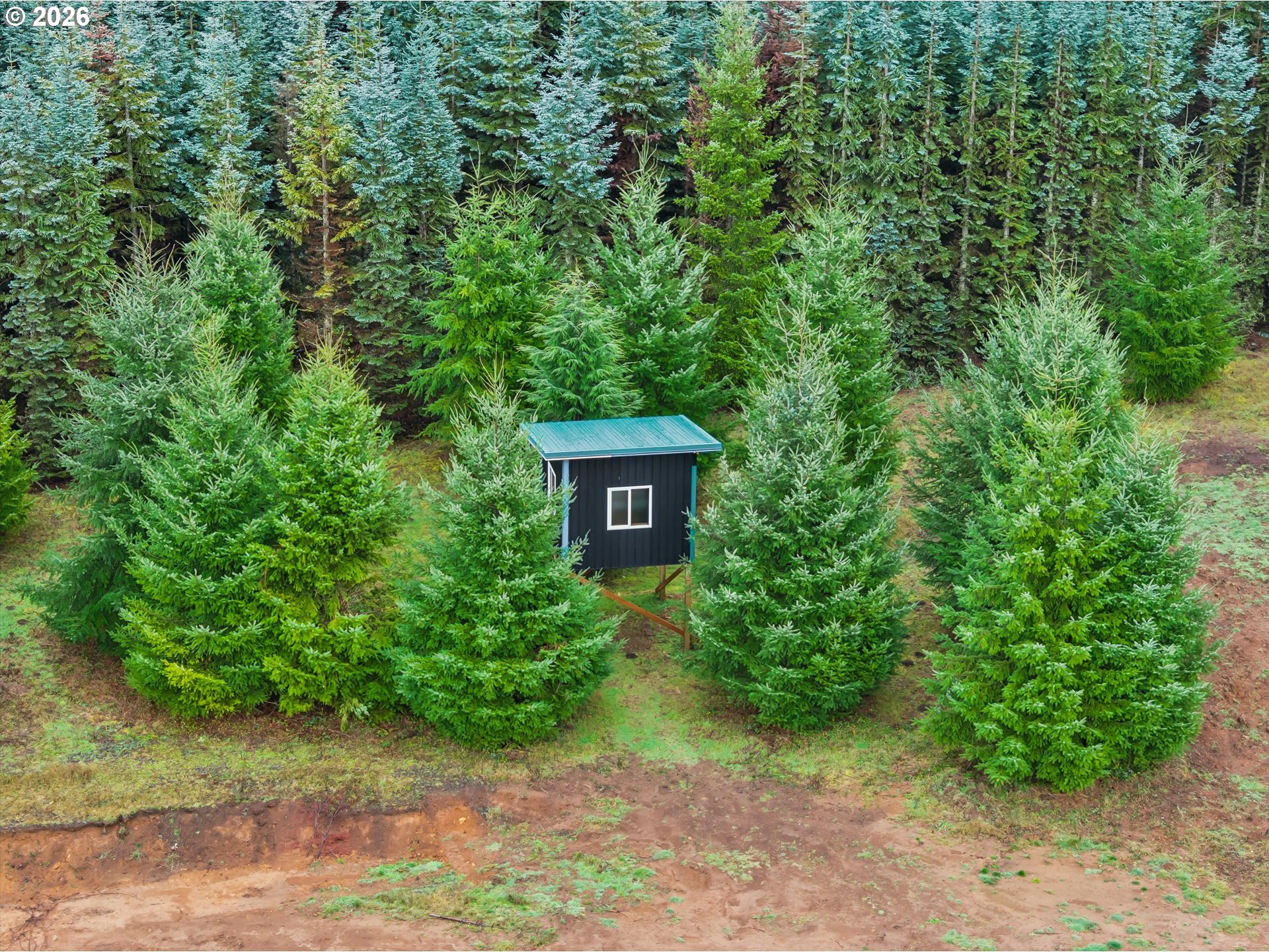 43815 Southeast Herrick Road Sandy, OR 97055 - Photo 32 of 35 a view of a back yard