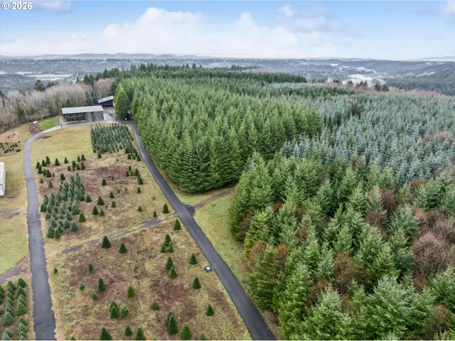 a view of a yard with an outdoor space