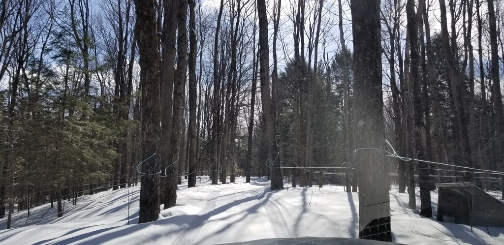 11 State Route Burke, NY 12917 - Photo 39 of 50