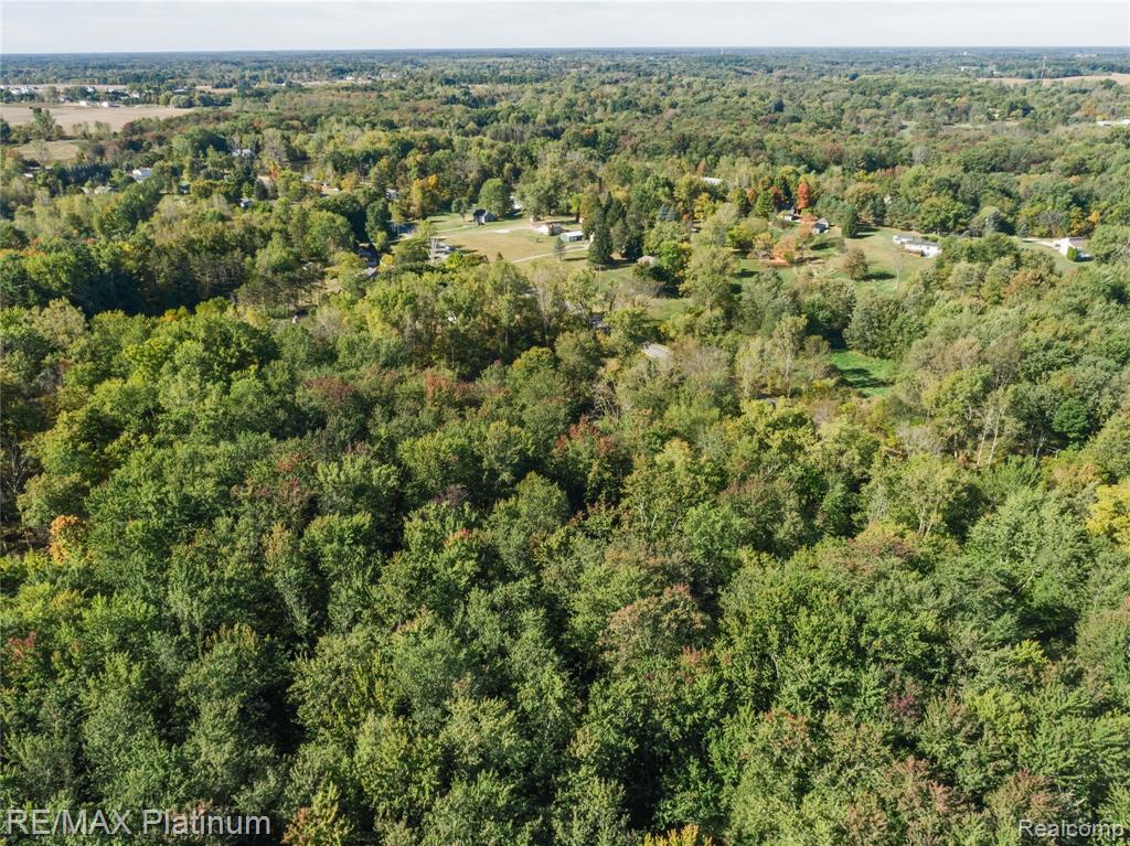 12111 Linden Road Linden, MI 48451 - Photo 8 of 12