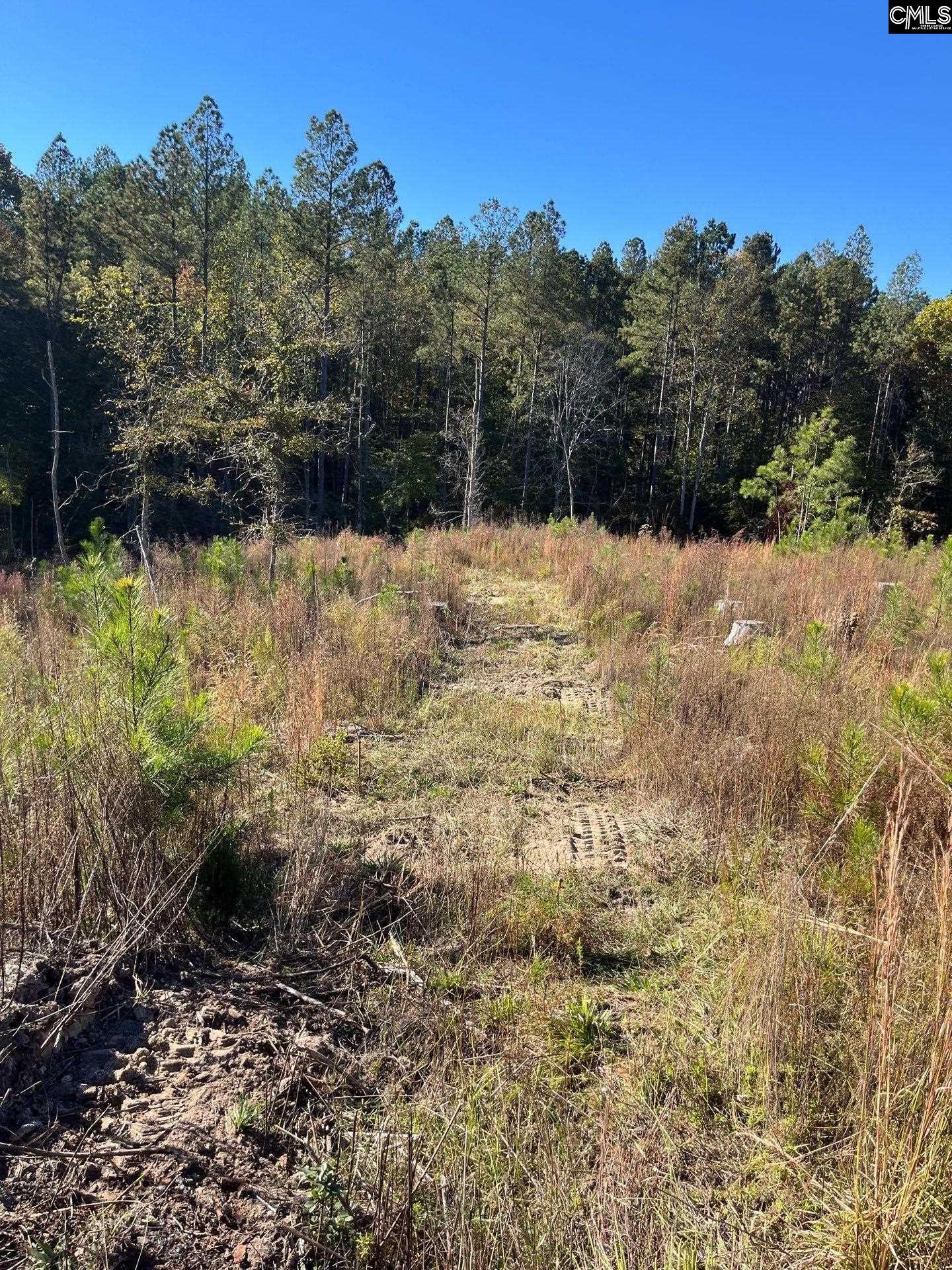 3 Dawkins Road, Unit DRF 3 Whitmire, SC 29178 - Photo 27 of 38