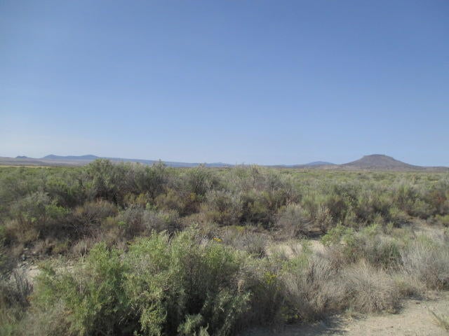 1000 Off S Oil Dri (apn: 3074) Road Chiloquin, OR 97624 - Photo 6 of 10 IMG_0355