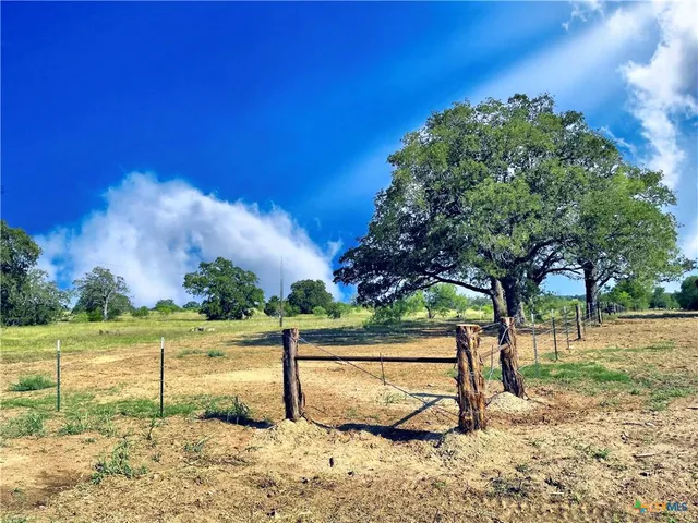 a view of a yard with a tree