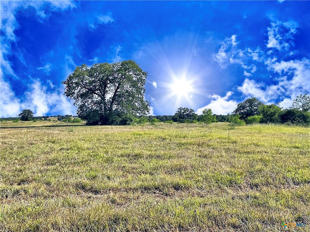 5350 Soda Springs Road Luling, TX 78648 - Photo 3 of 8 a view of a green field