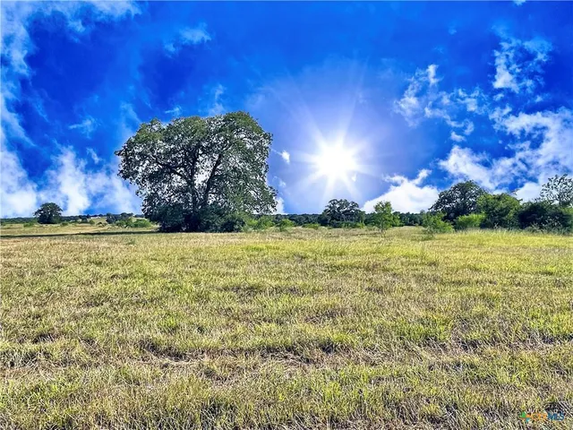 a view of a green field