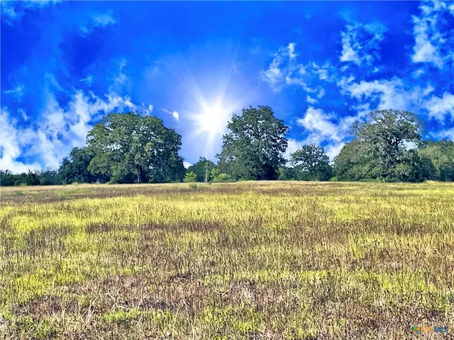 a view of green field