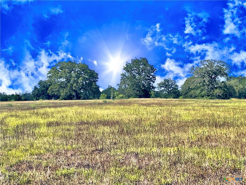 5350 Soda Springs Road Luling, TX 78648 - Photo 4 of 8 a view of green field