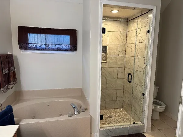 a bathroom with a shower and a toilet