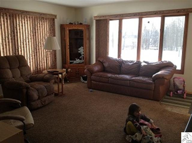 3558 South Pintar Road Hibbing, MN 55746 - Photo 5 of 10