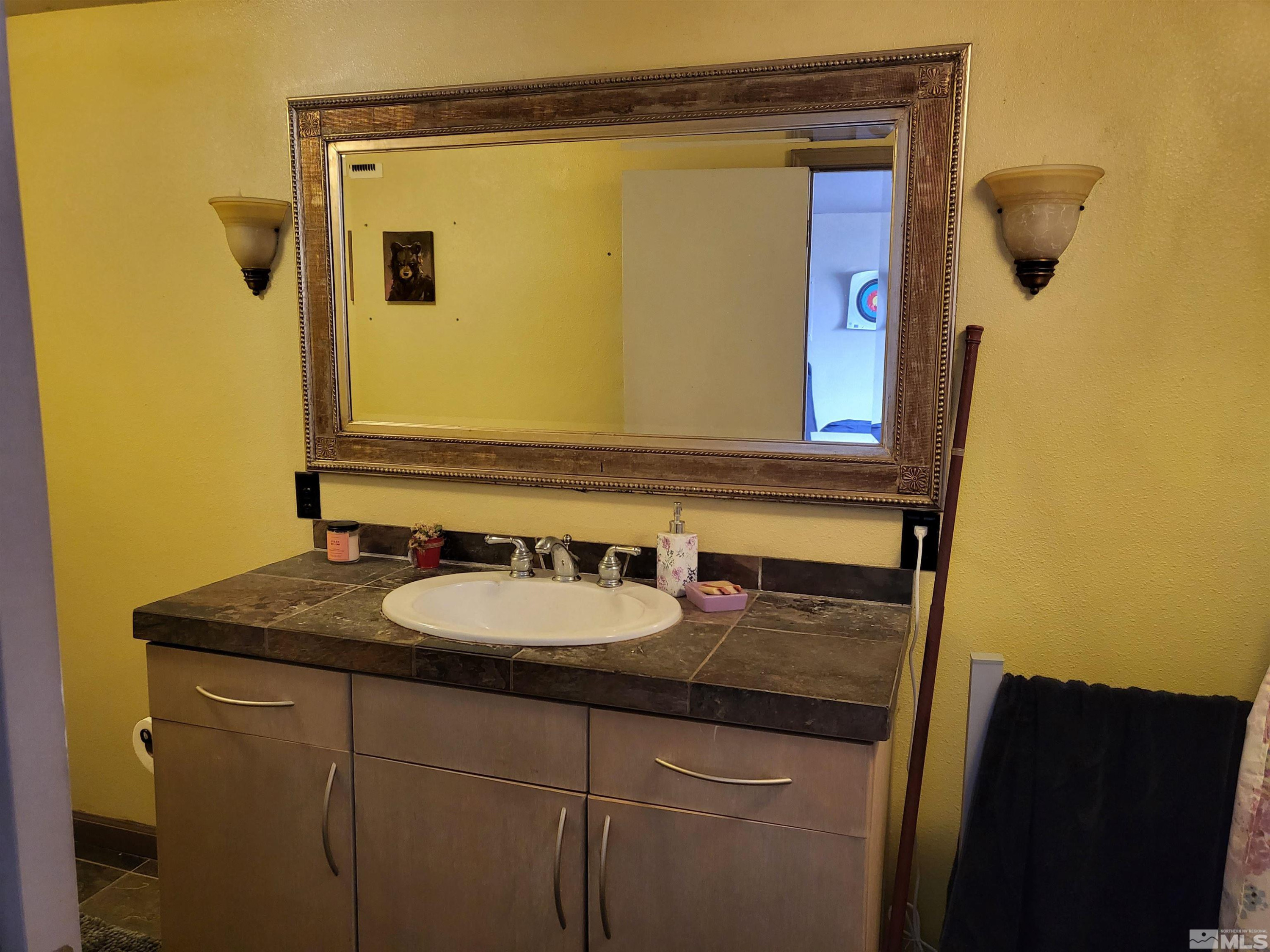 1347 Terrace Drive Reno, NV 89503 - Photo 16 of 25 a bathroom with a sink and a mirror