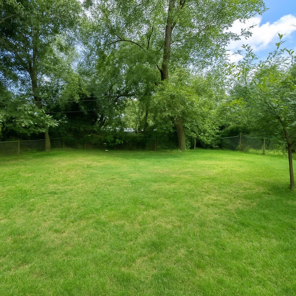5254 Perry Street Houston, TX 77021 - Photo 12 of 16 a view of a green yard