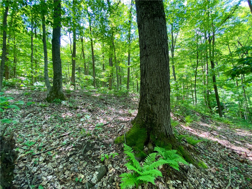 4880 Deusenberry Road Cohocton, NY 14826 - Photo 20 of 25