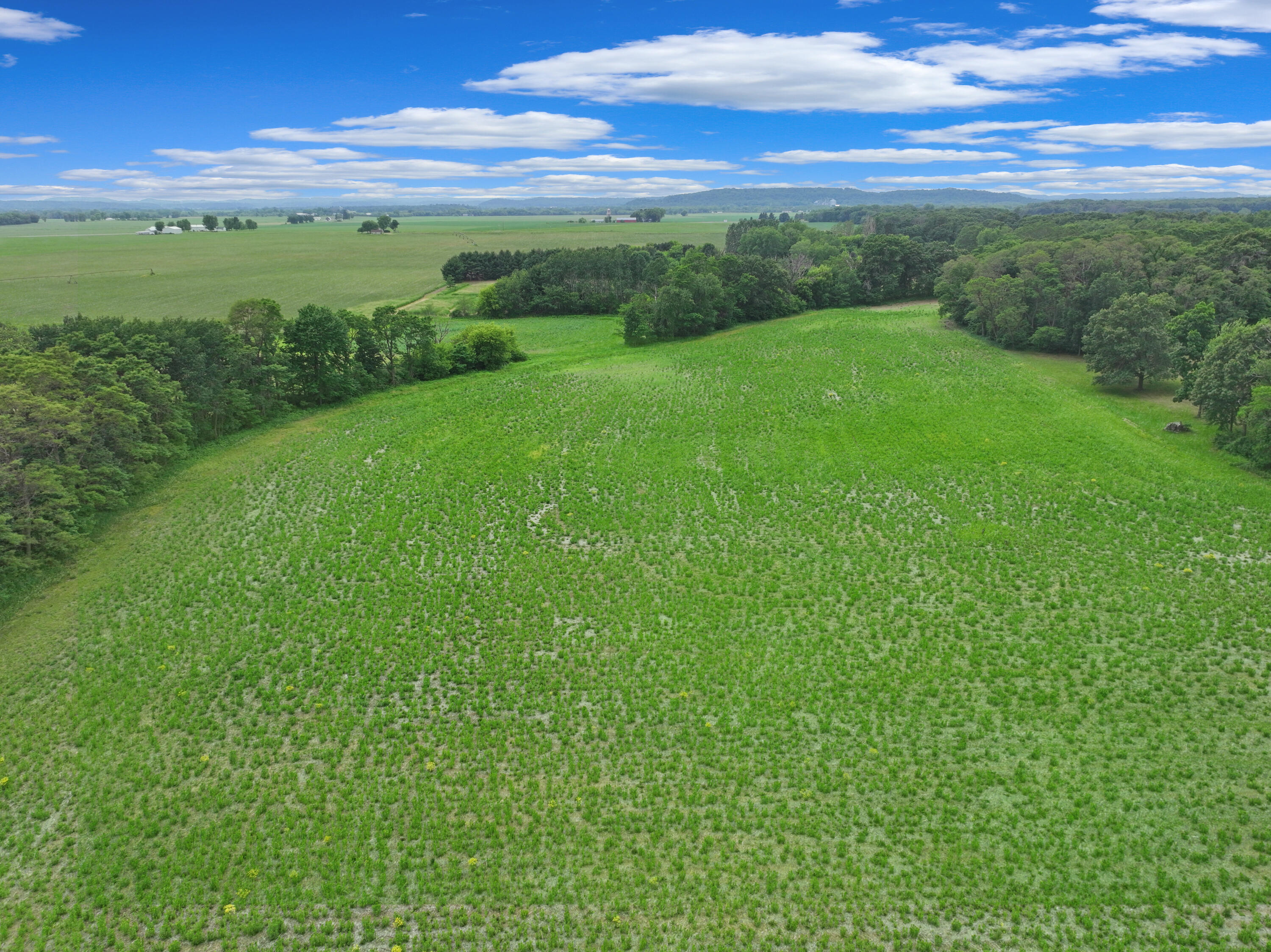 W4961 Cemetery Road Lemonweir, WI 53948 - Photo 4 of 12 DJI_20260610095730_0090_V (2)
