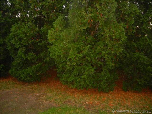 65 Old Route 79, Unit 13 Madison, CT 06443 - Photo 20 of 24 a view of a forest with a tree