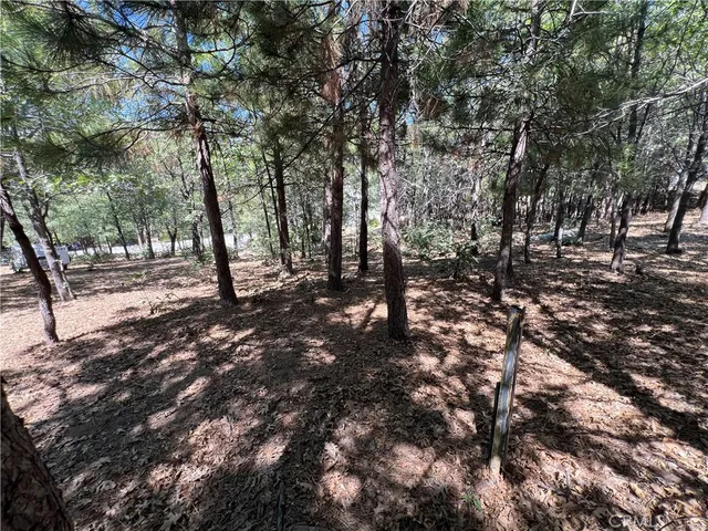 a view of road and trees