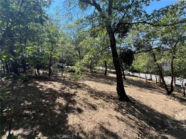 a view of a park with trees