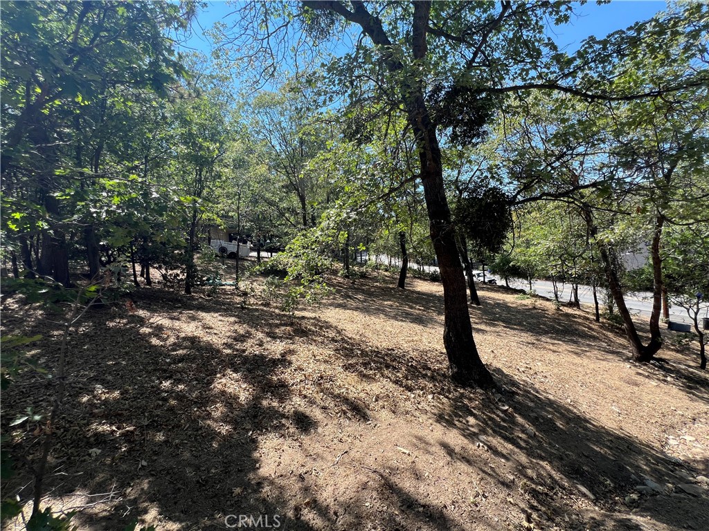 28195 North Bay Road Lake Arrowhead, CA 92352 - Photo 4 of 7 a view of a park with trees