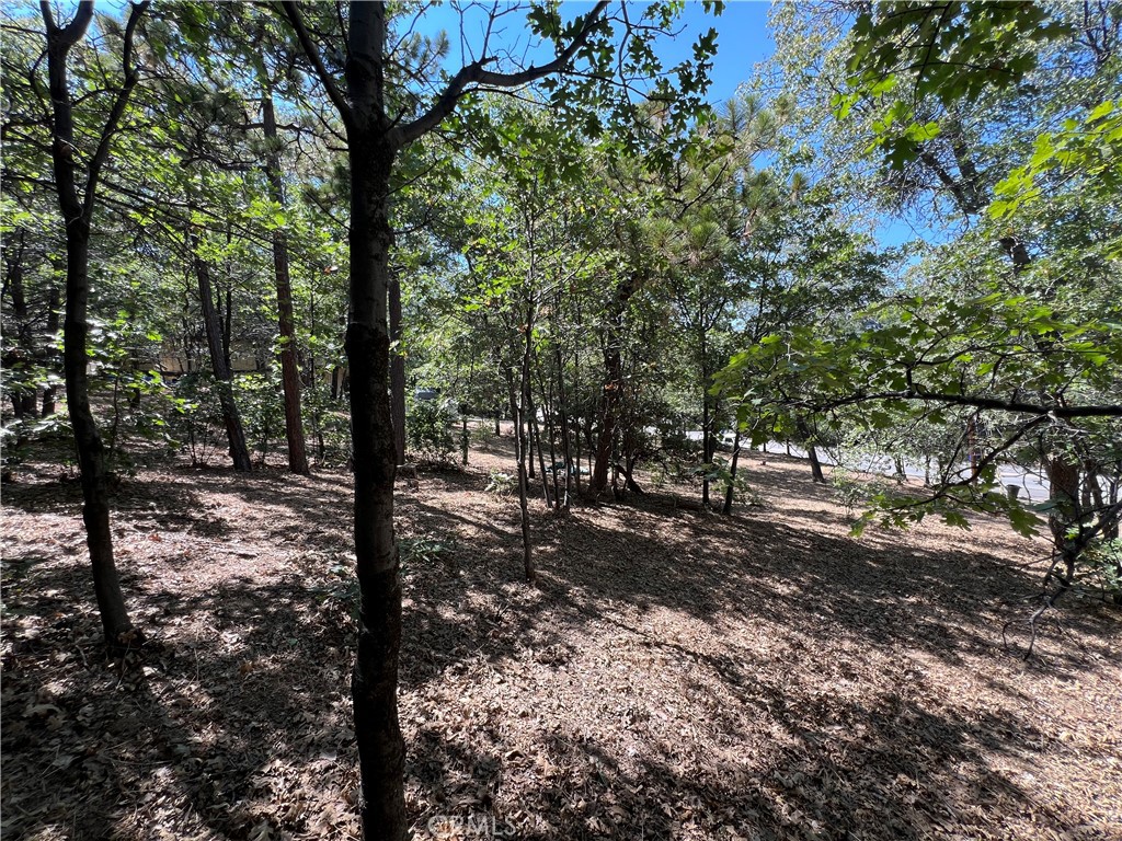 28195 North Bay Road Lake Arrowhead, CA 92352 - Photo 5 of 7 a view of a forest filled with trees