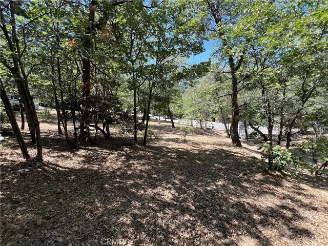 a view of outdoor space with trees