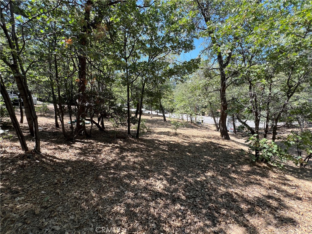 28195 North Bay Road Lake Arrowhead, CA 92352 - Photo 6 of 7 a view of outdoor space with trees