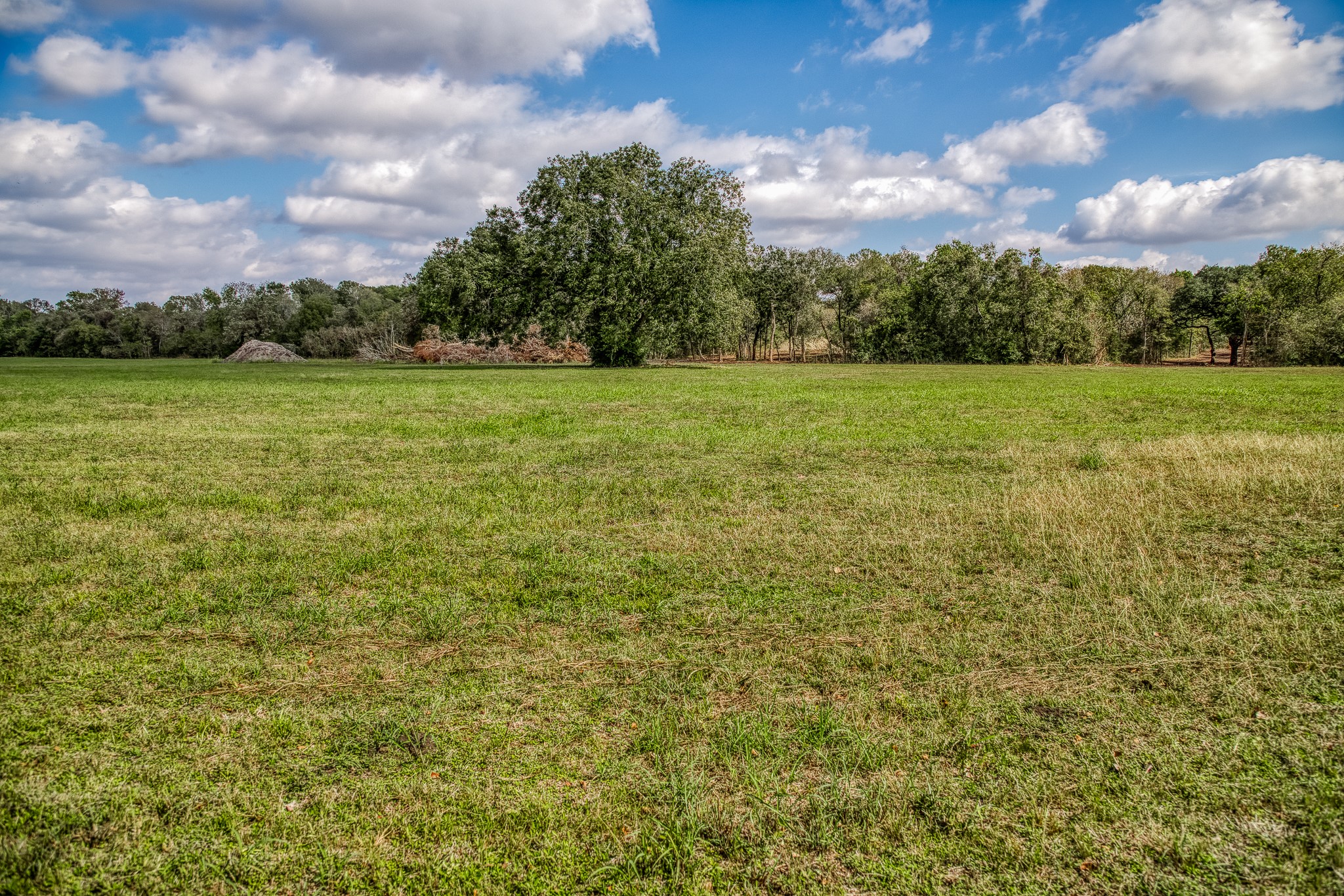 5 Sun Oil Road Brenham, TX 77833 - Photo 14 of 28 a view of a garden