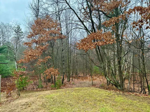 $130,000 | 2471 West 12 Mile Road, Bitely, MI 49309